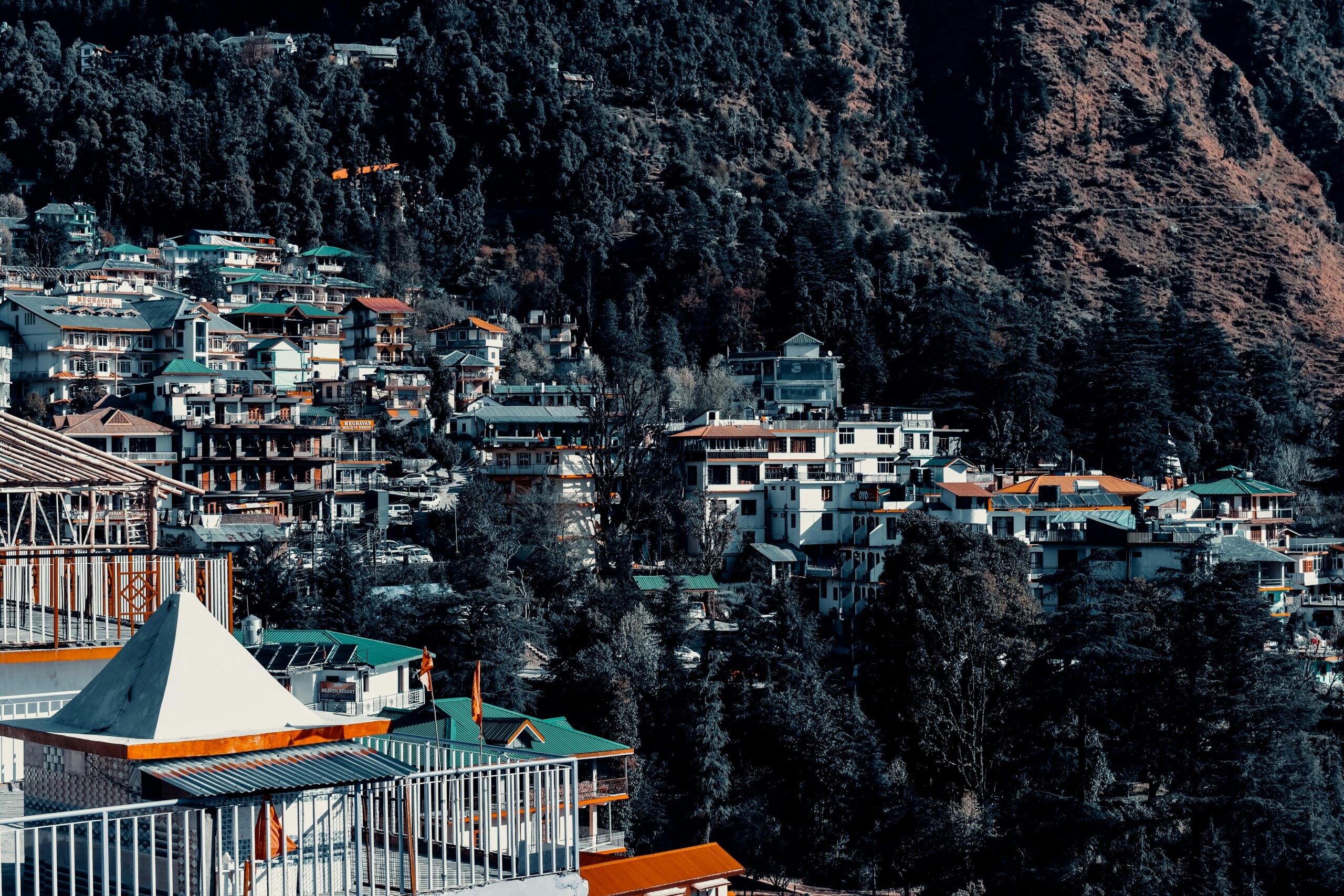 pexels iamwanderingkhan 30072848 scaled